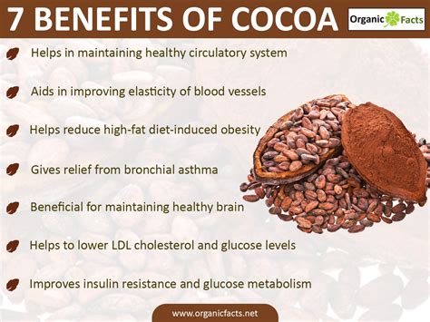 How belief cocoa magical protein powder can help reduce cravings and support weight management.
